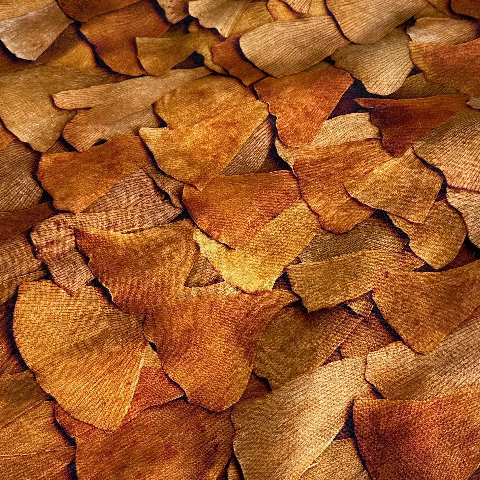 Bed Art • Studio Sale