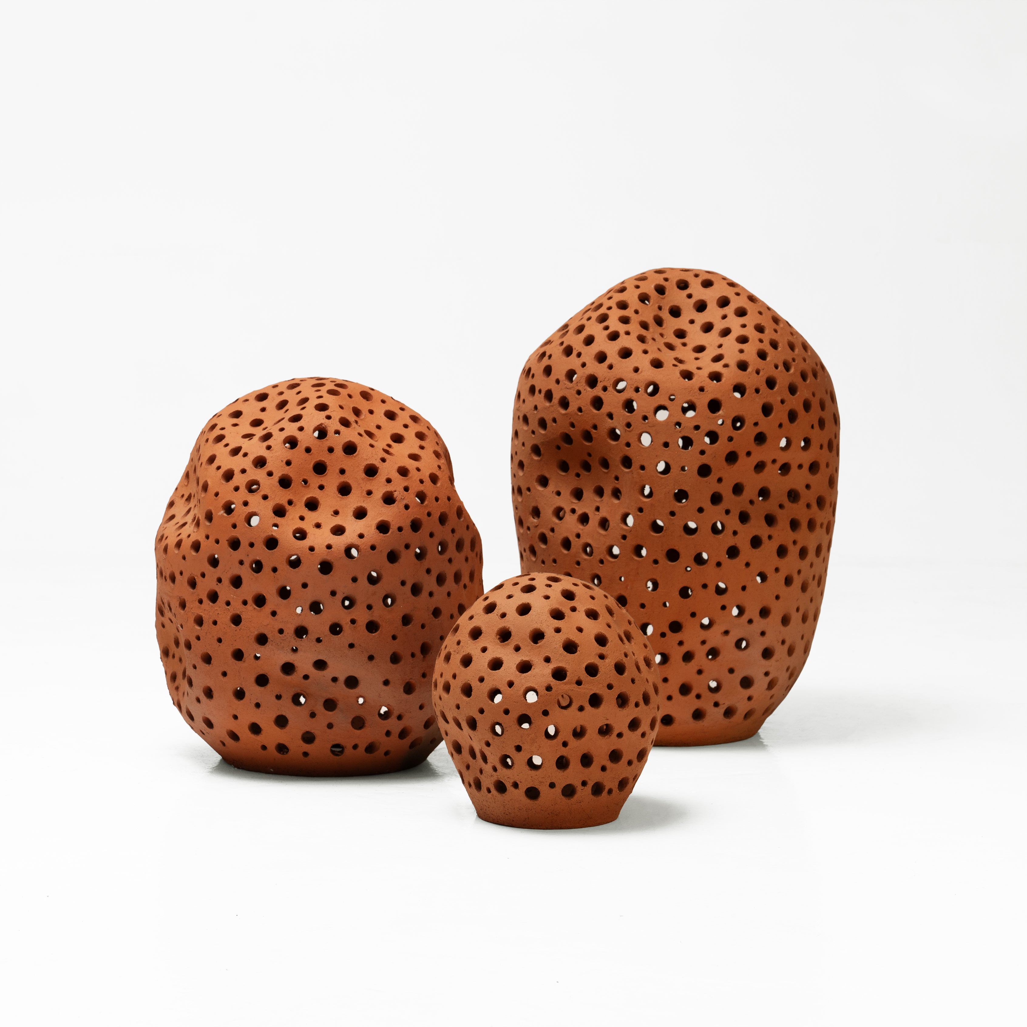 Cassius Clay • Lights