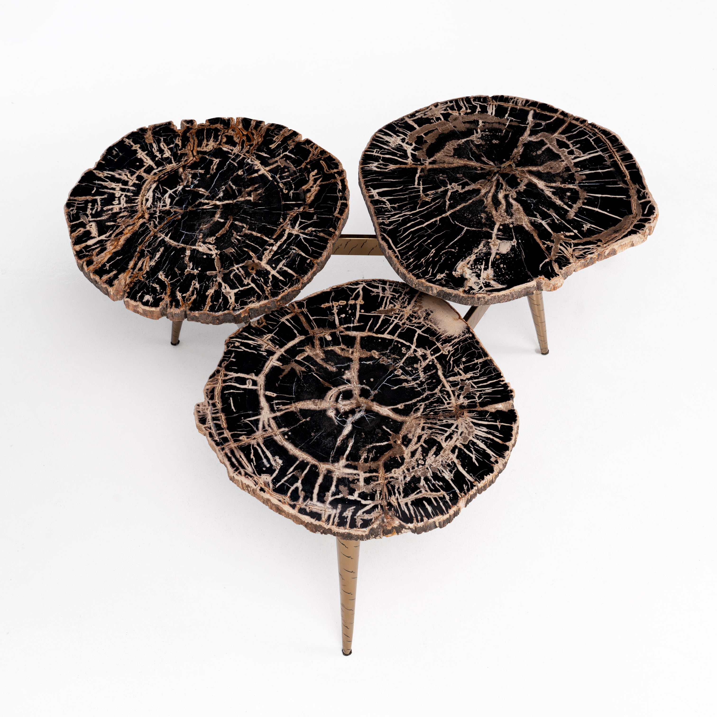 Trilogy • Studio Sale