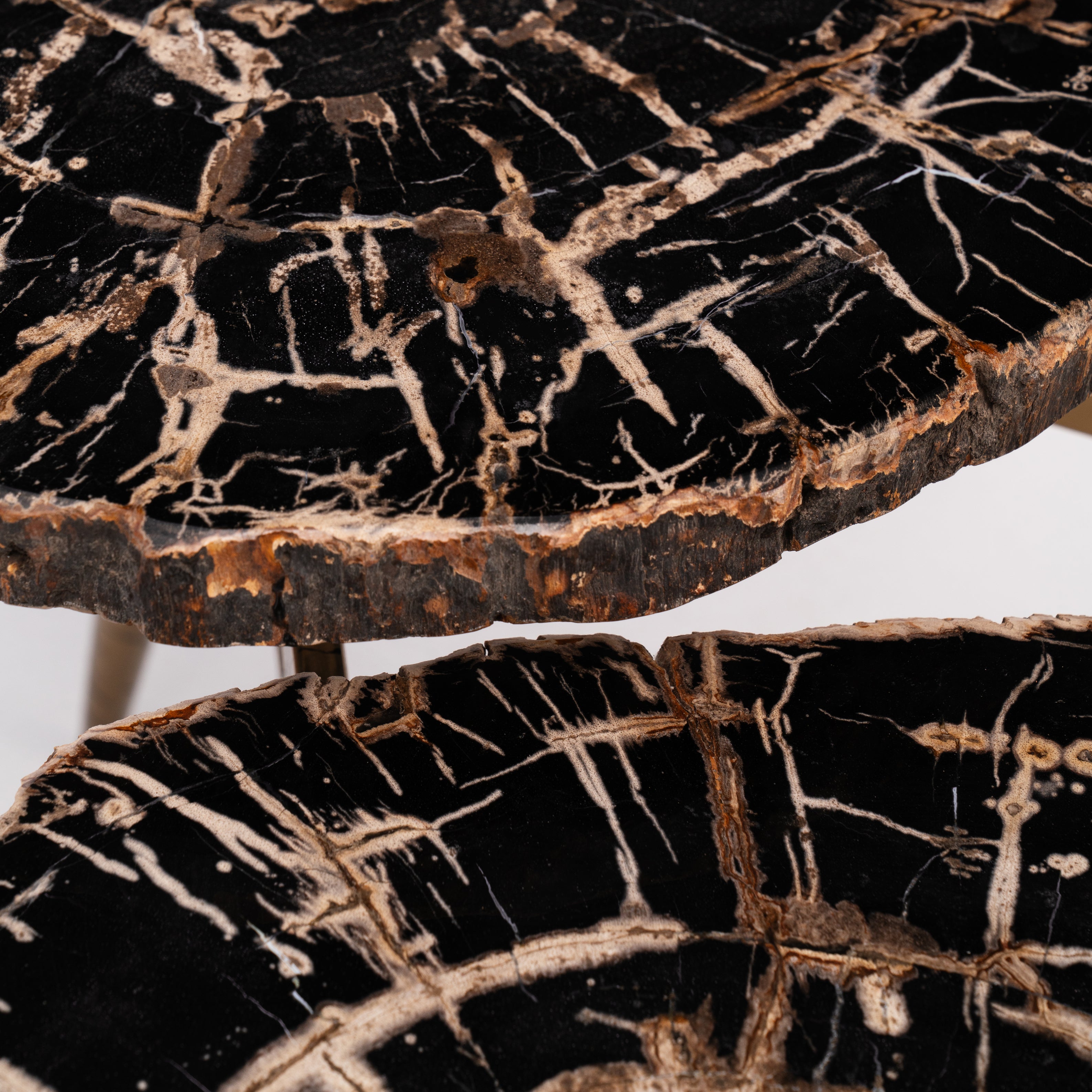 Trilogy • Studio Sale