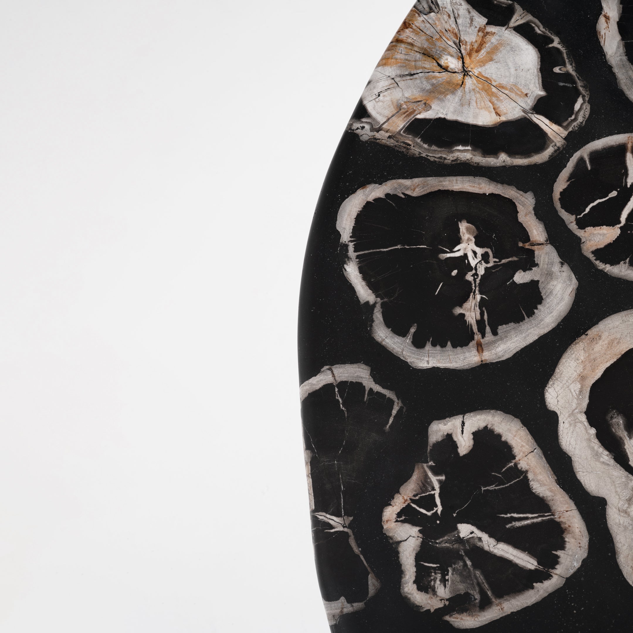 True Grit • Studio Sale