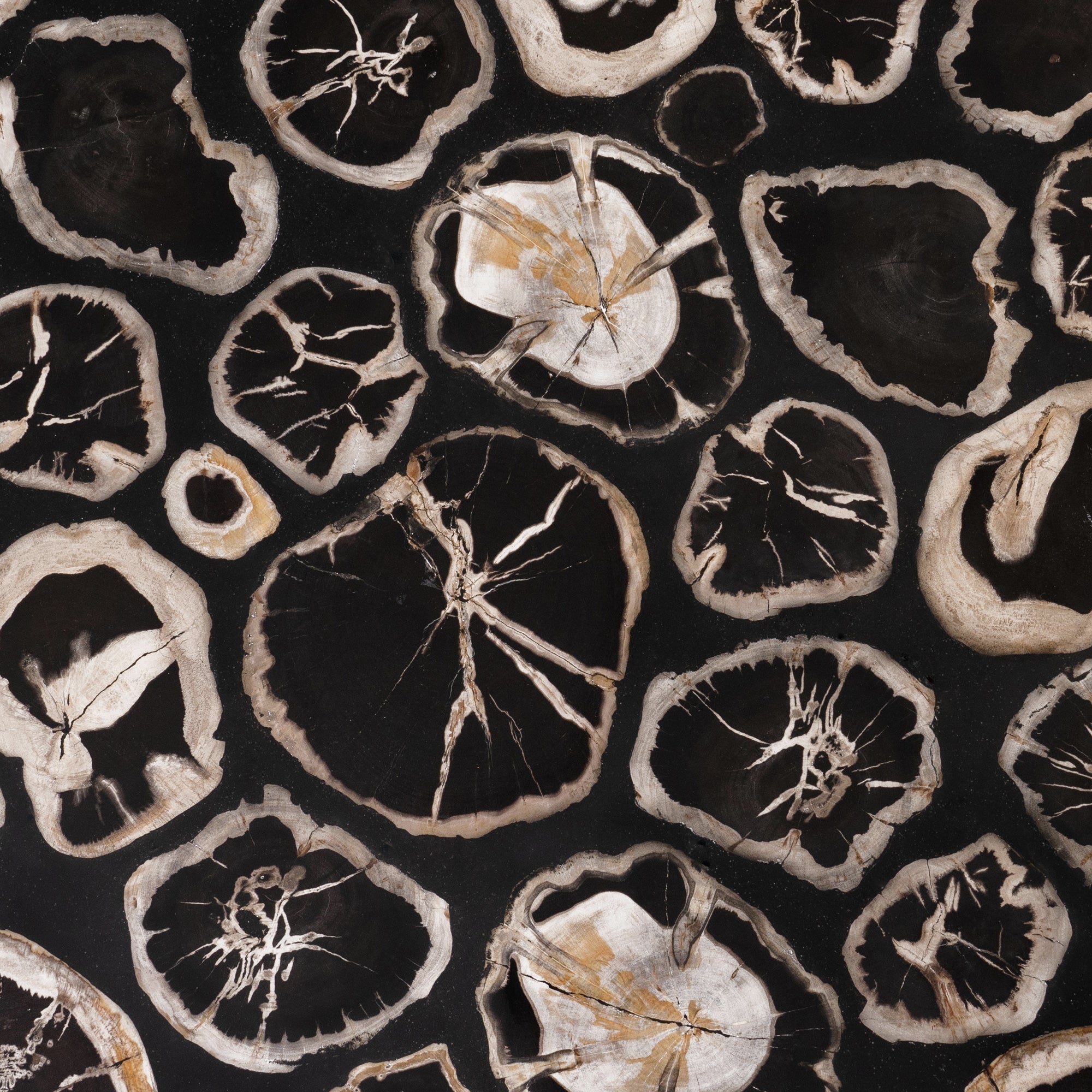 True Grit • Studio Sale