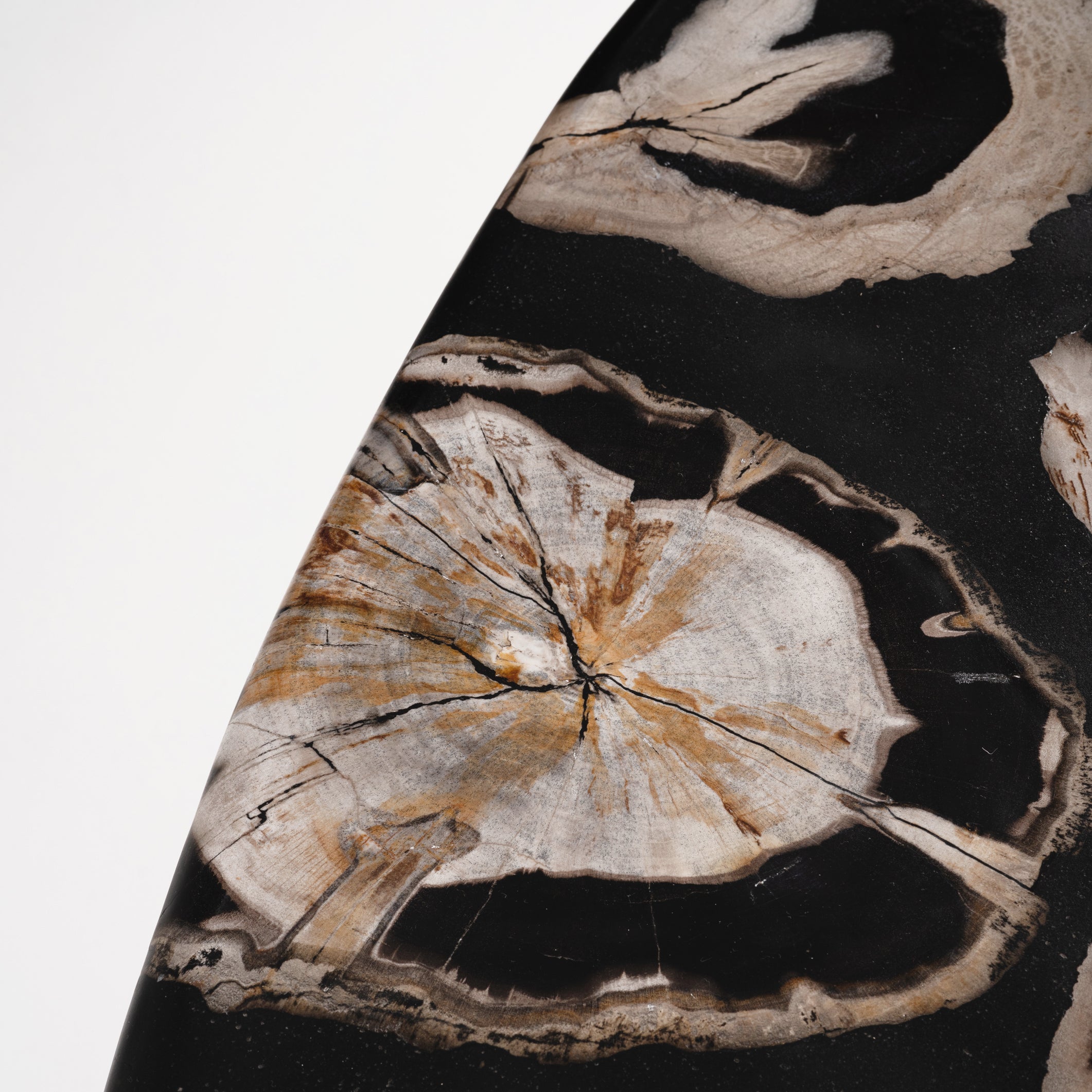 True Grit • Studio Sale