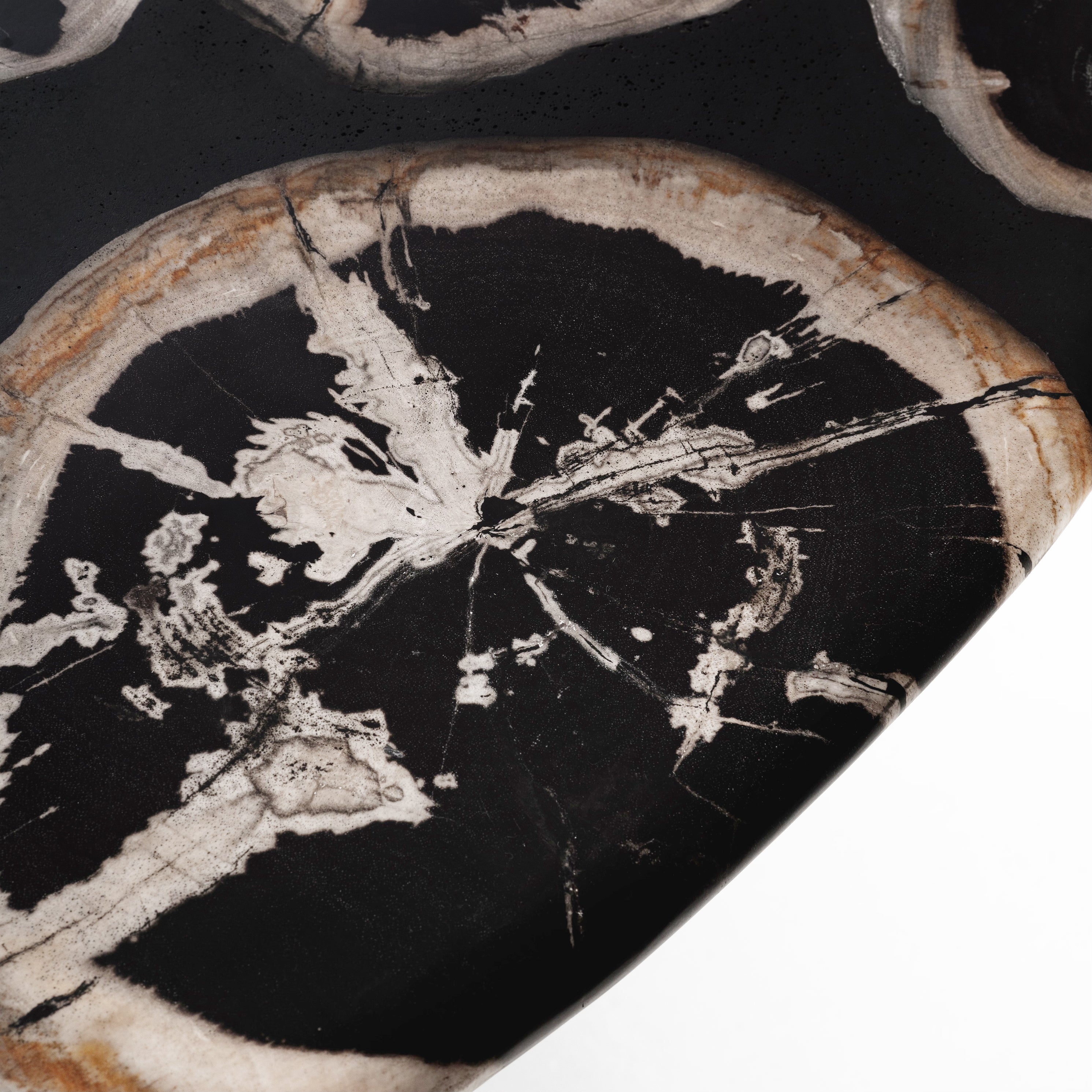 True Grit • Studio Sale