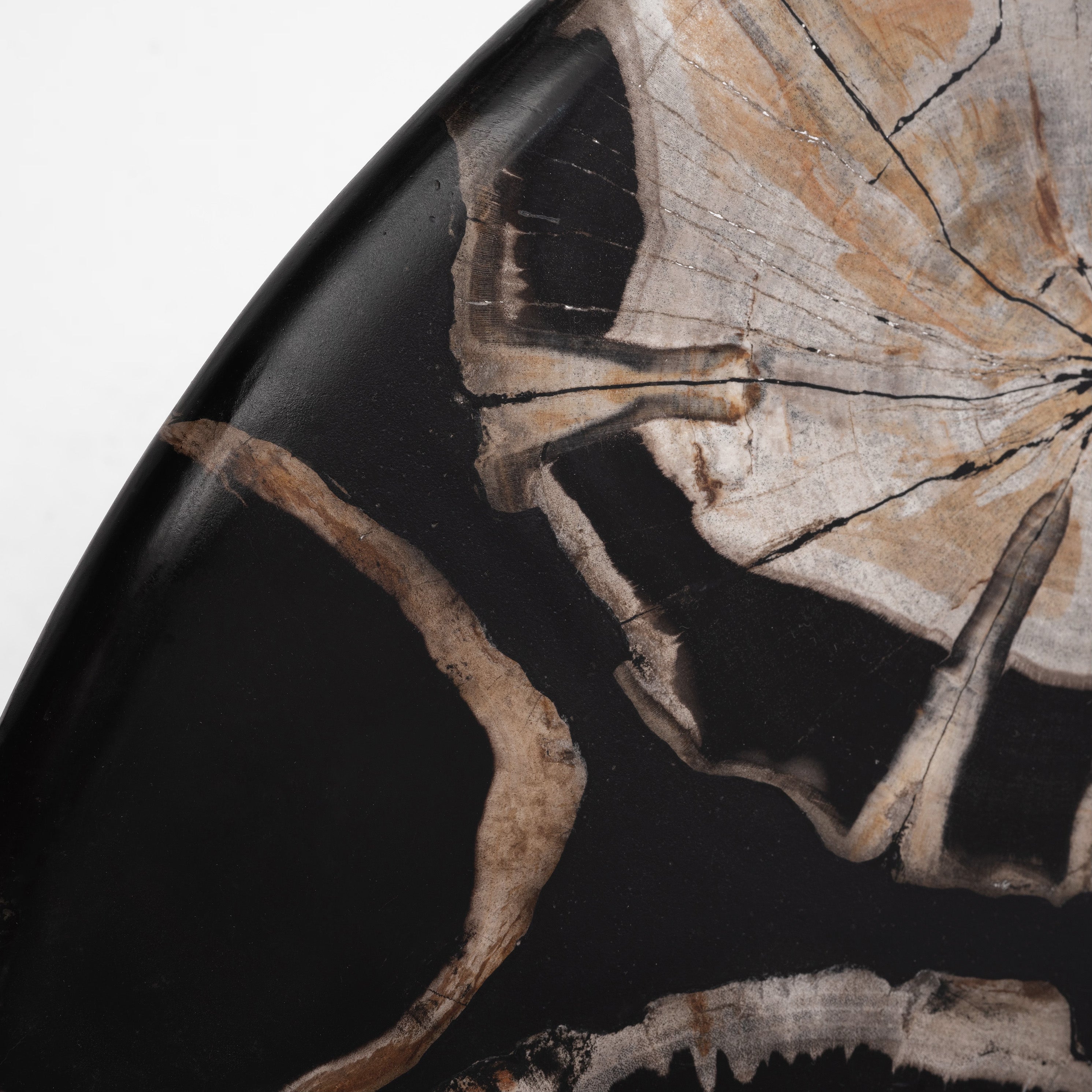 True Grit • Studio Sale