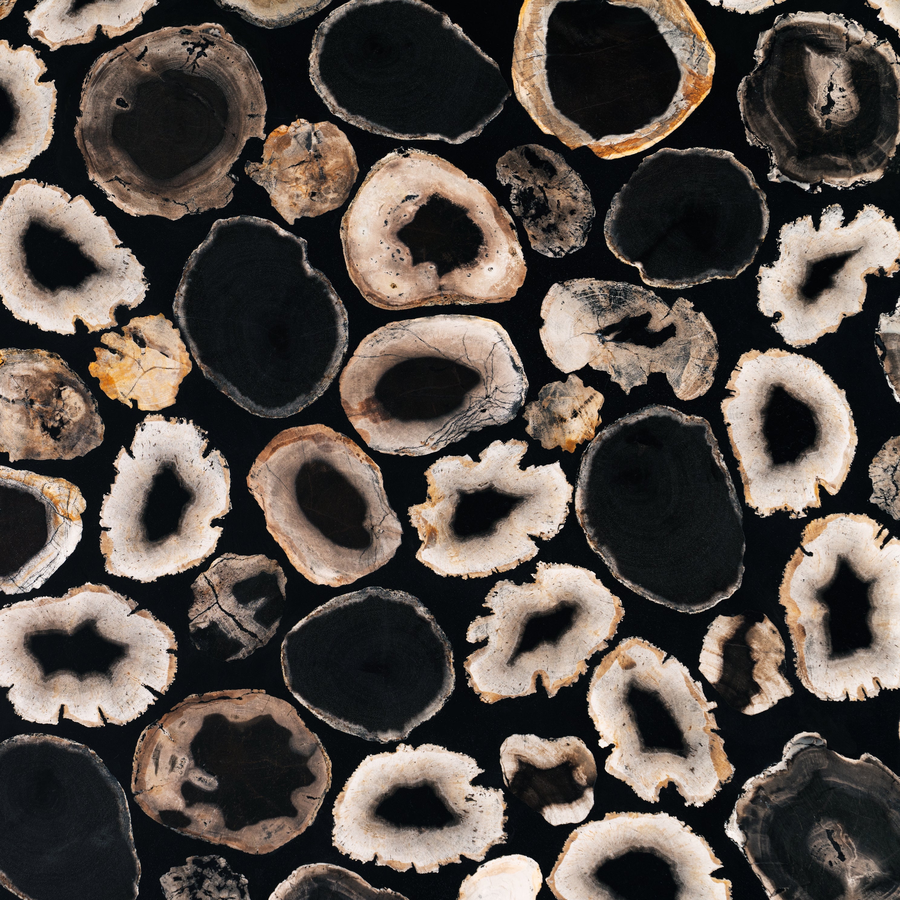 True Grit II • Studio Sale